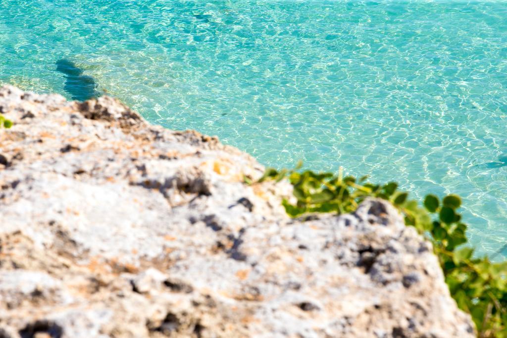 Il Borgo Del Principino Apart otel Favignana Dış mekan fotoğraf