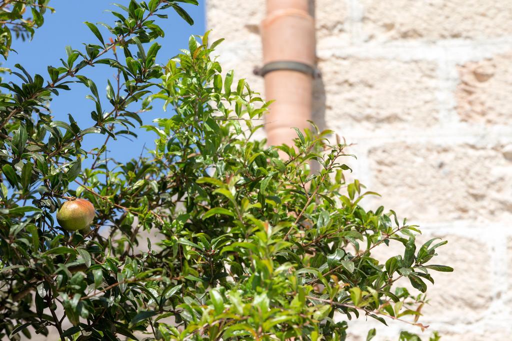 Il Borgo Del Principino Apart otel Favignana Dış mekan fotoğraf